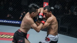 Decoding the Ultimate Fighting Formula: A Comprehensive Breakdown of the Martial Arts Driving Mixed Martial Arts