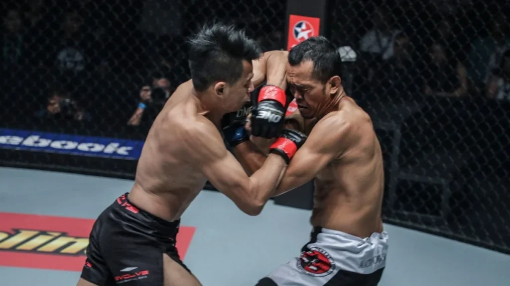 The Anatomy of the Cage: A Comprehensive Breakdown of the Core Martial Arts Driving Modern Mixed Martial Arts
