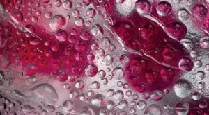 The Evolution of Daily Wellness: Why Whole-Food Supplements and Products Like Rosabella Beetroot Capsules Are Reshaping the Market