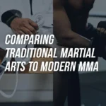 The Evolving Combat Arena: Examining the Deep Divide and Hidden Common Ground Between Traditional Martial Arts and Modern MMA