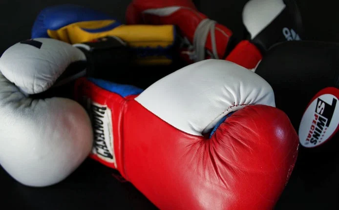 The Ultimate Boxing Glove Review: A Decade-Plus Industry Analysis and Brand Breakdown