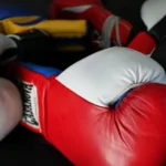 The Ultimate Boxing Glove Review and Market Guide: Navigating Over 60 Brands and Decades of Quality Shifts